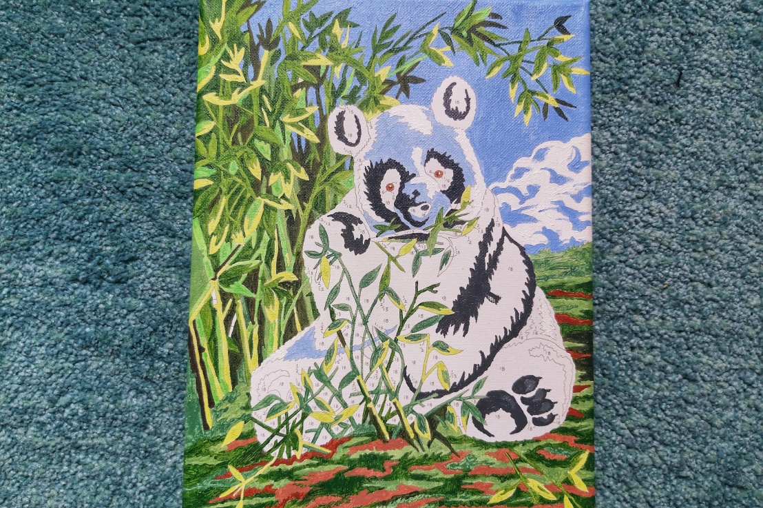 Acrylic Painting By Numbers Canvas – Panda